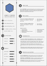 Load image into Gallery viewer, smart blue resume template