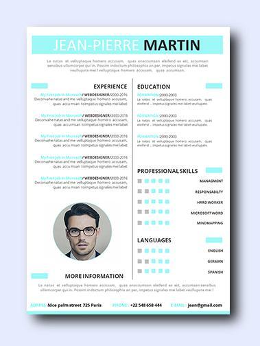 sky blue 2 resume template