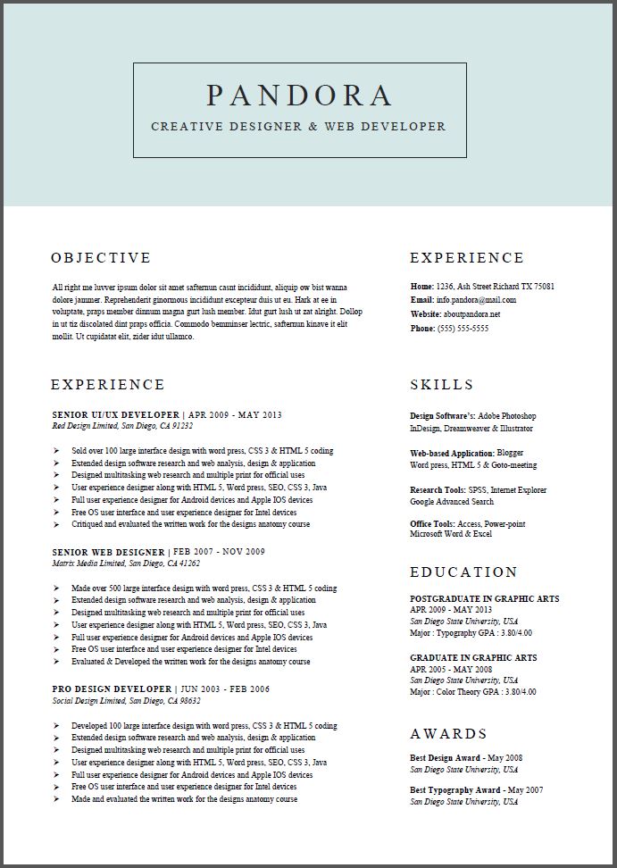 pandora jan resume template